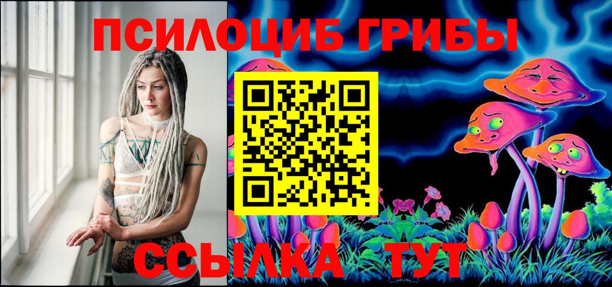 Галлюциногенные грибы Psilocybe Миллерово