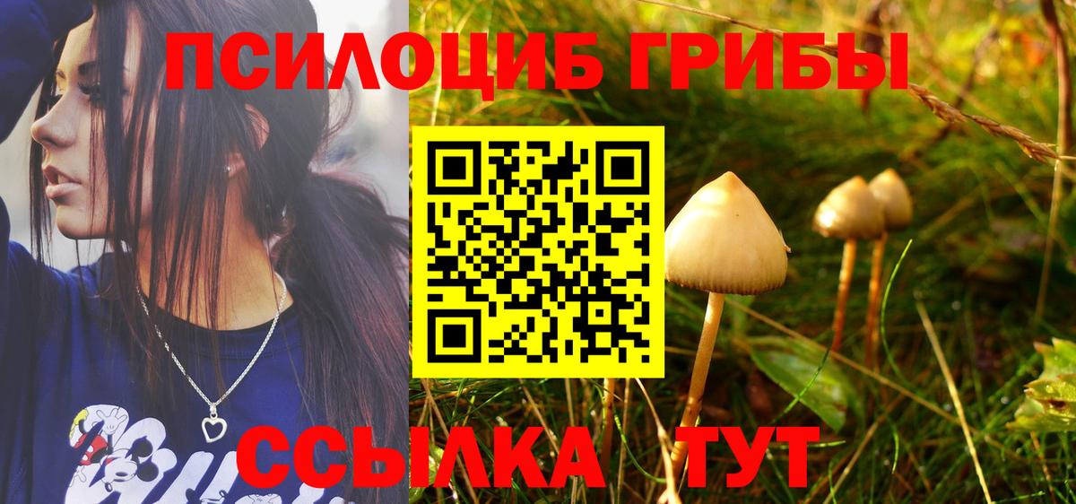 Псилоцибиновые грибы Cubensis  Вход с VPN  Миллерово 